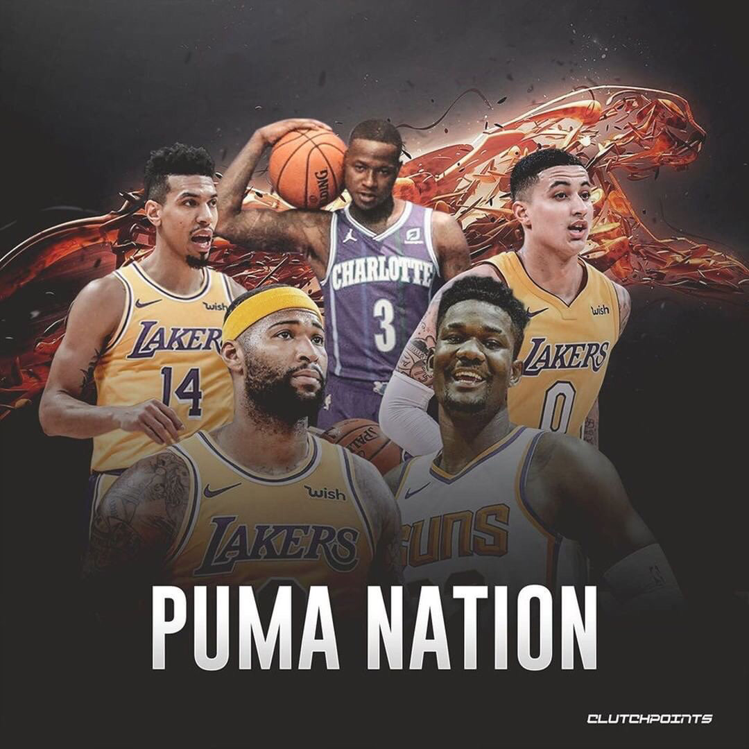 花的战术不 花的战术不